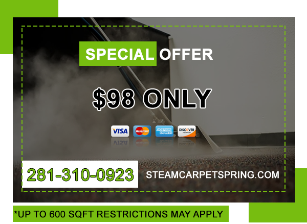  Steam Carpet Spring Special Offer