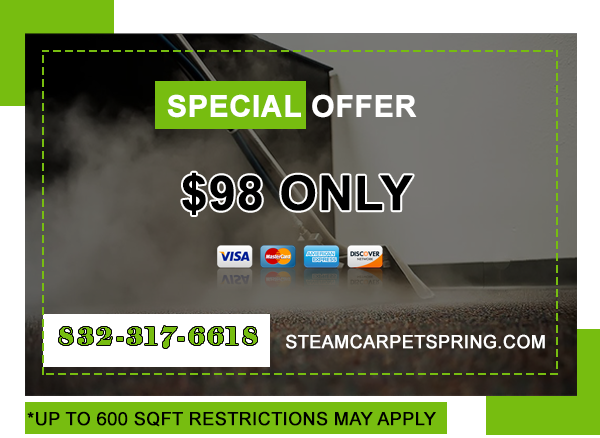 Steam Carpet Spring Printable Coupon