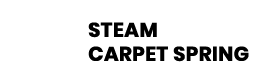 steam carpet spring logo